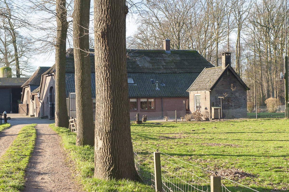 kruishaarderpad_068-2.jpg