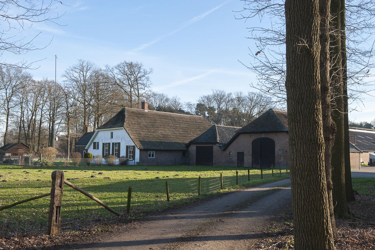 kruishaarderpad_074-1.jpg