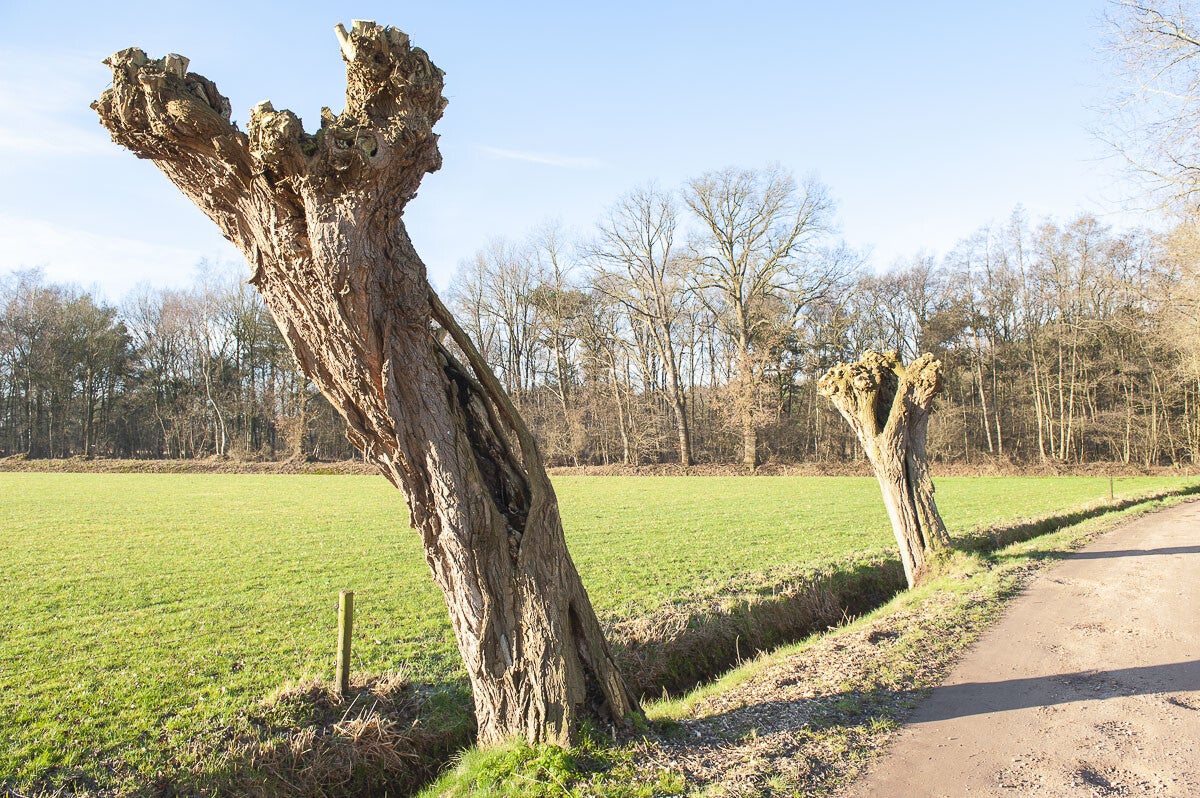 kruishaarderpad_077-1.jpg
