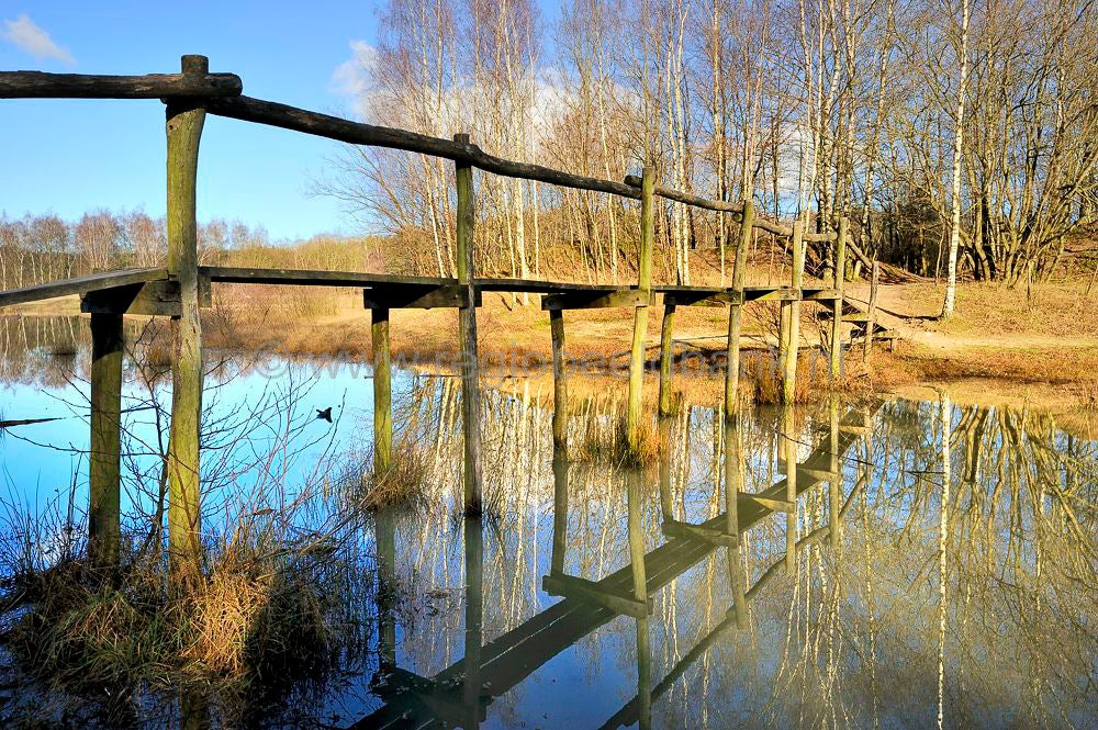 Kwintelooijen