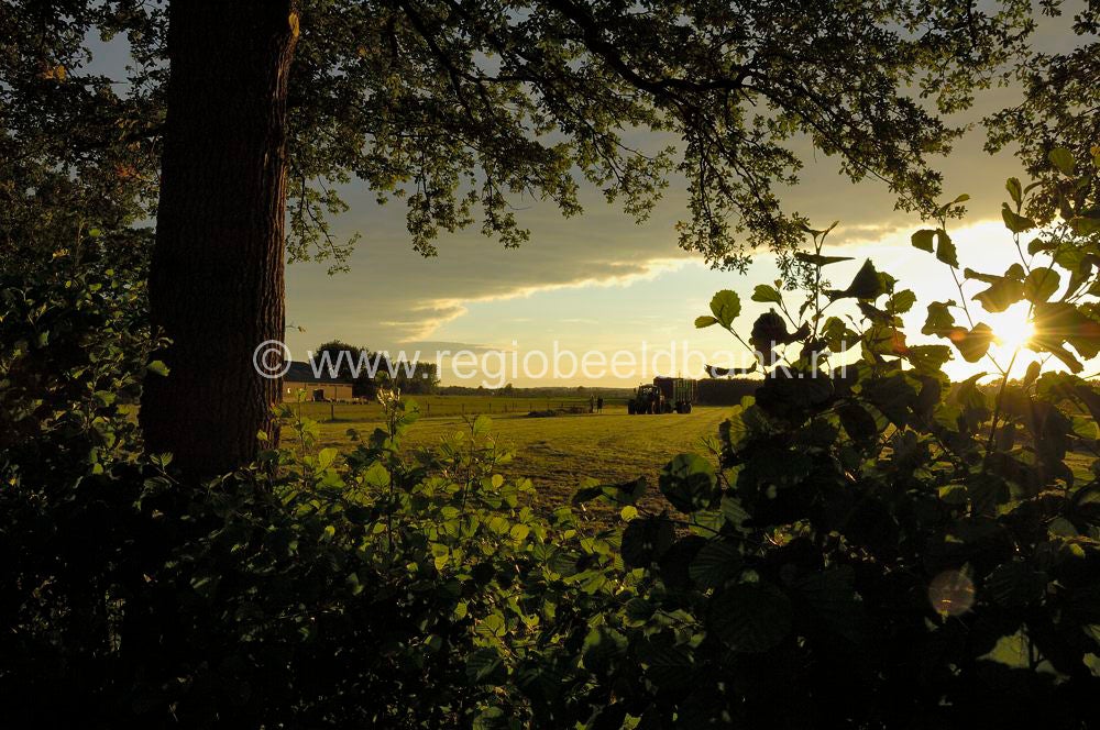 landbouw__003.jpg