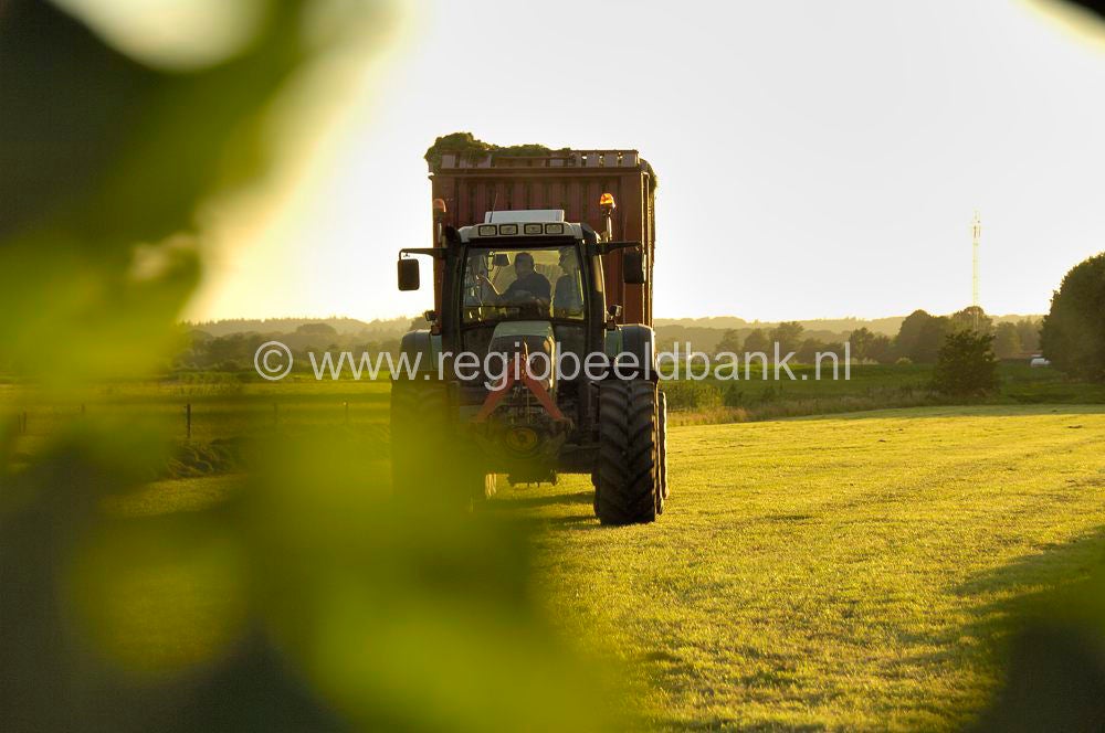 landbouw__005.jpg