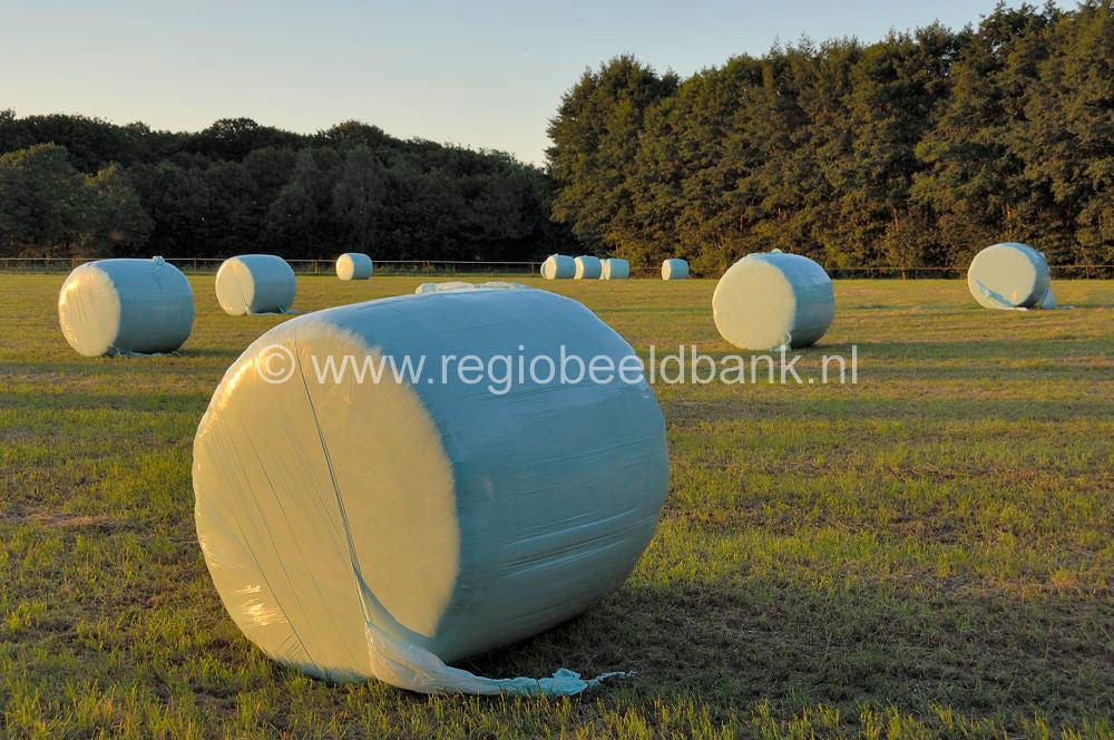 landbouw__008-1.jpg