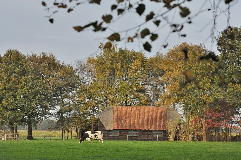 Landgoed Scherpenzeel