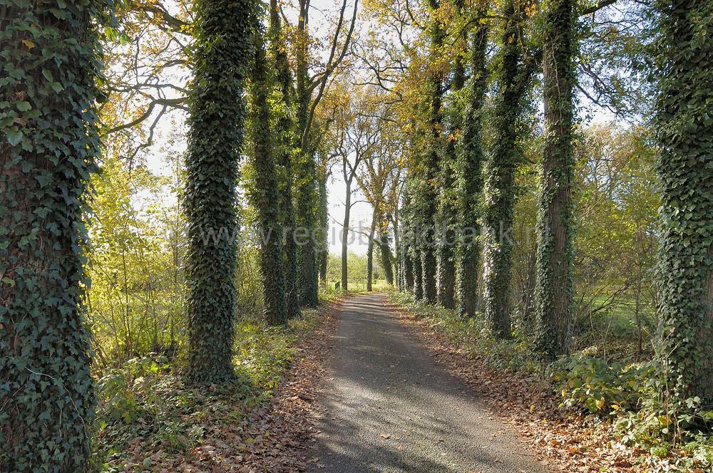 landgoed_scherpenzeel_014.jpg