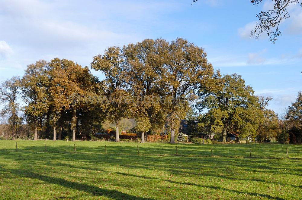 landgoed_scherpenzeel_016.jpg
