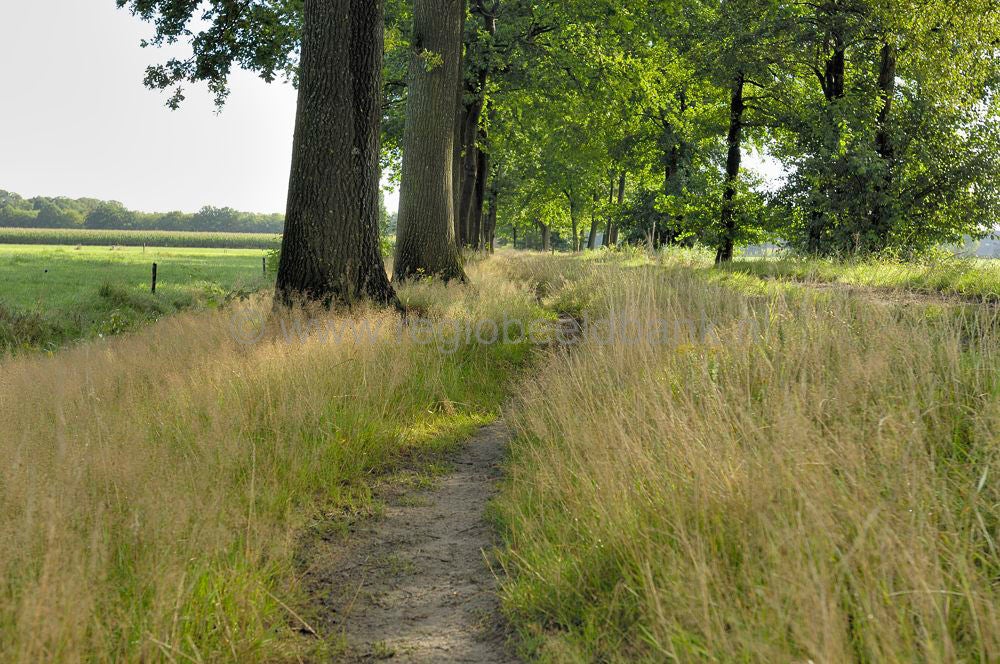 landgoed_scherpenzeel_020.jpg