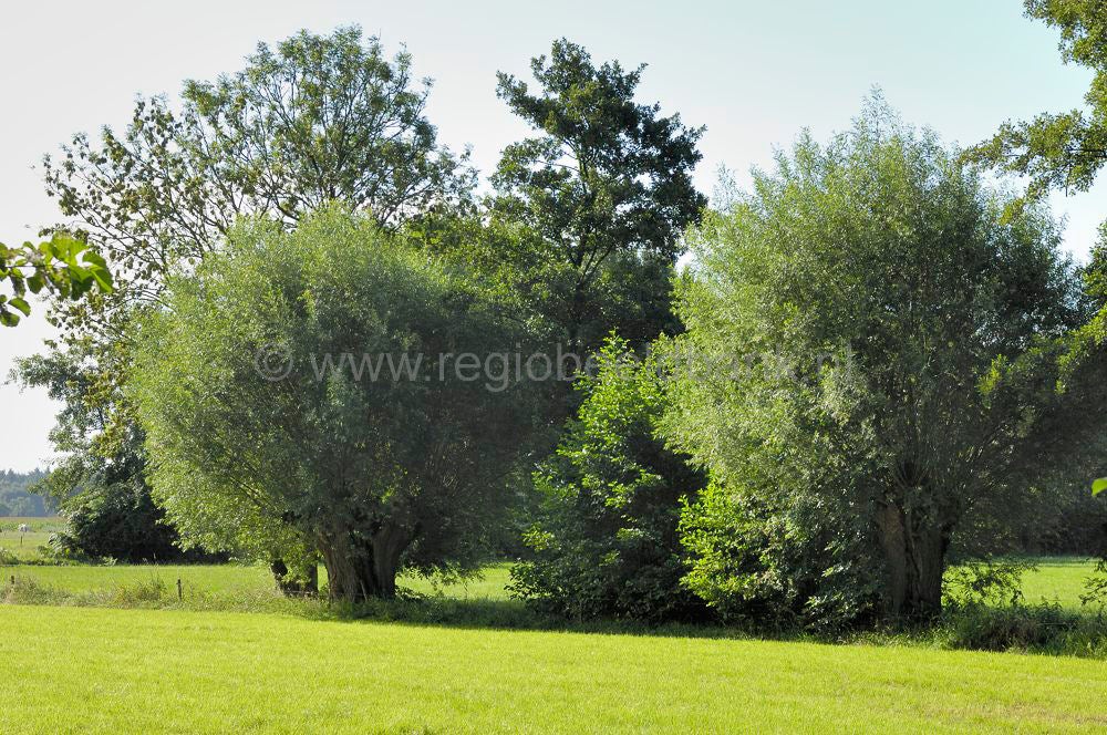 landgoed_scherpenzeel_022.jpg