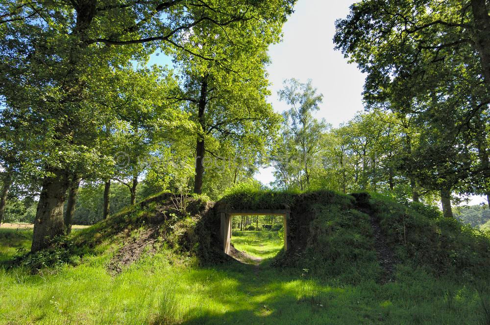 landgoed_scherpenzeel_030.jpg