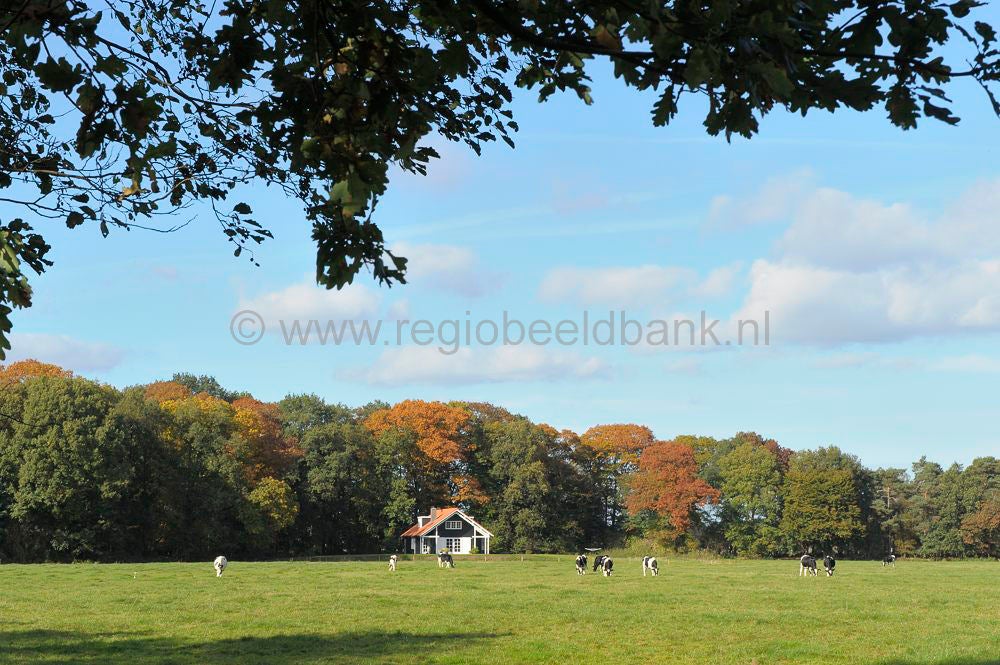 landgoed_scherpenzeel_032.jpg