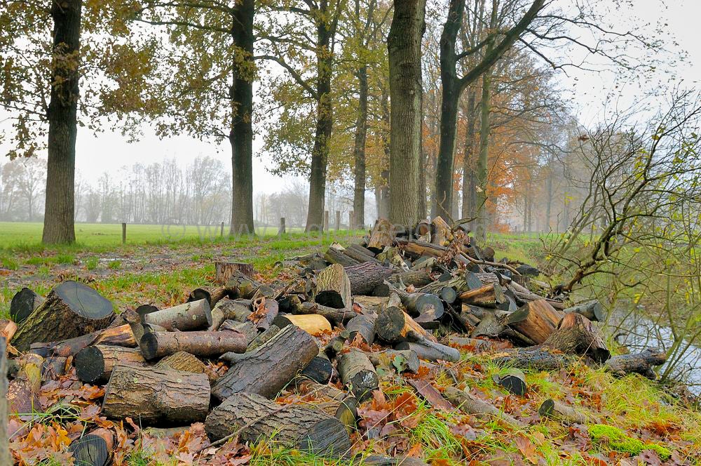 landgoed_scherpenzeel_044.jpg