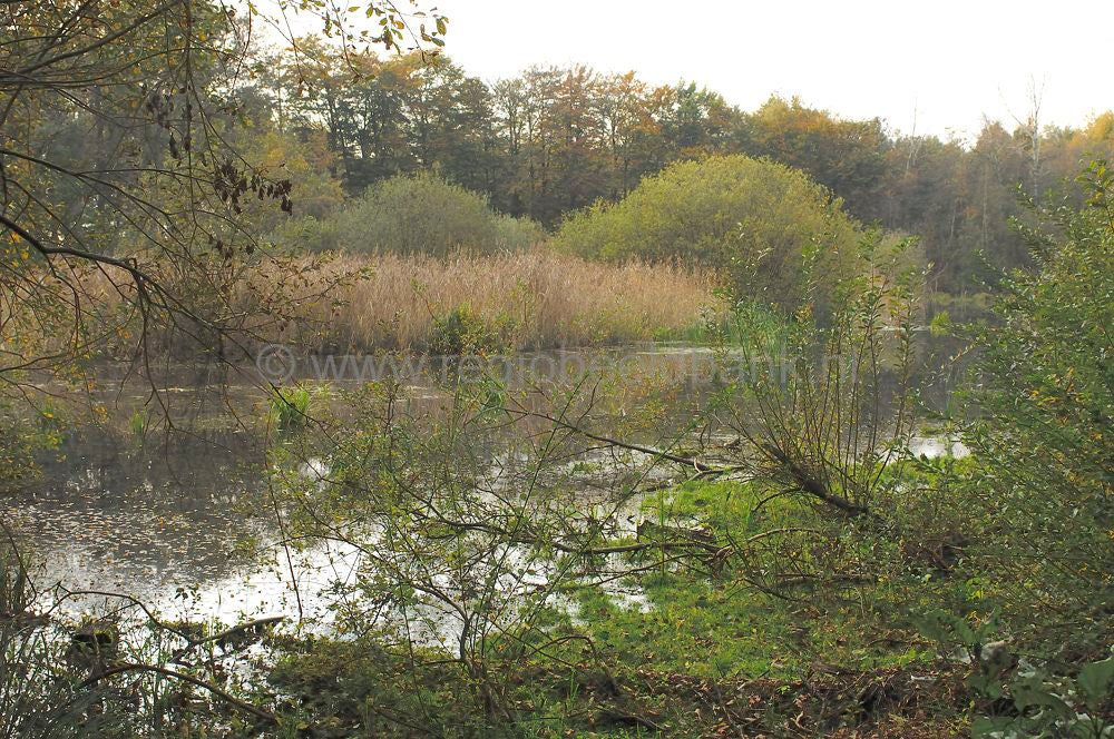 landgoed_scherpenzeel_048.jpg