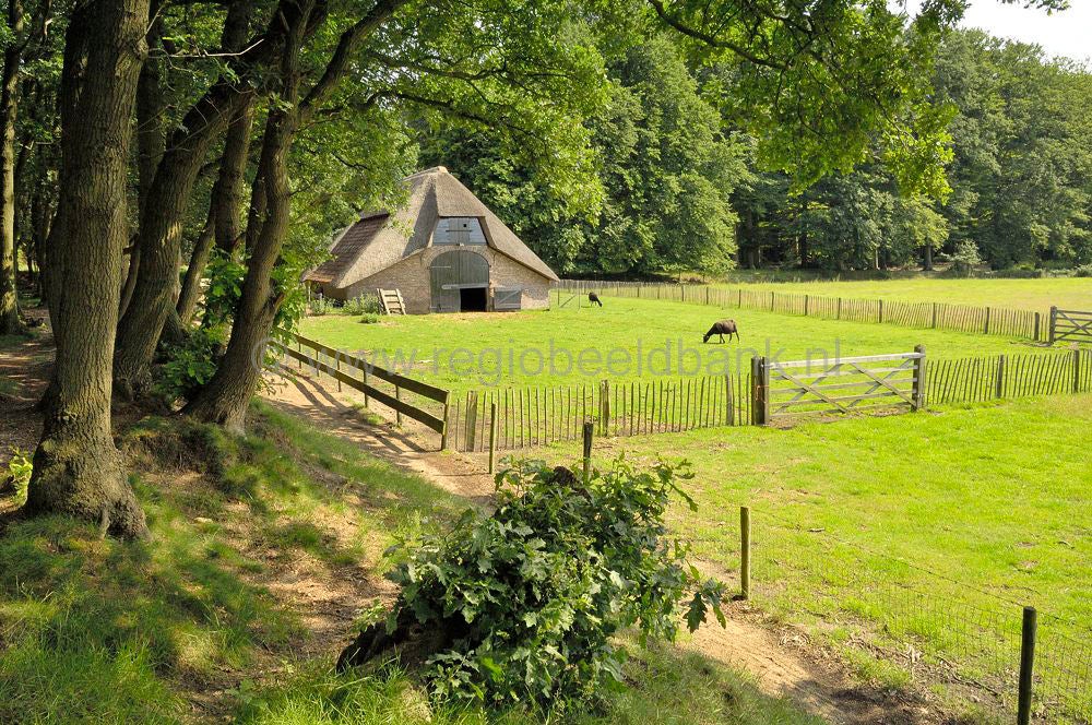 landgoed_zuylenstein_026.jpg
