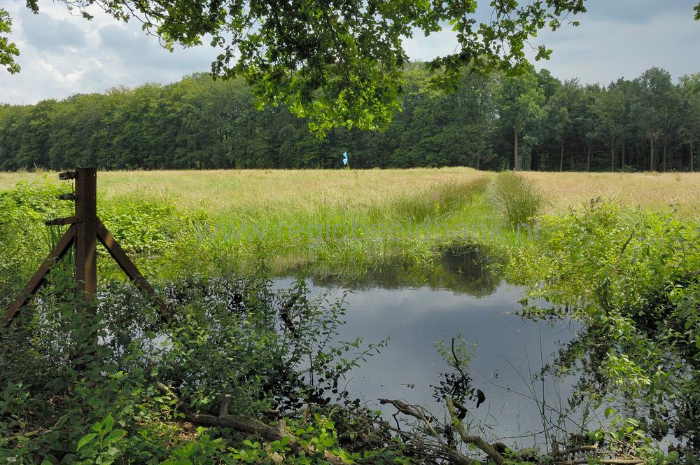 landgoed_zuylenstein_035.jpg