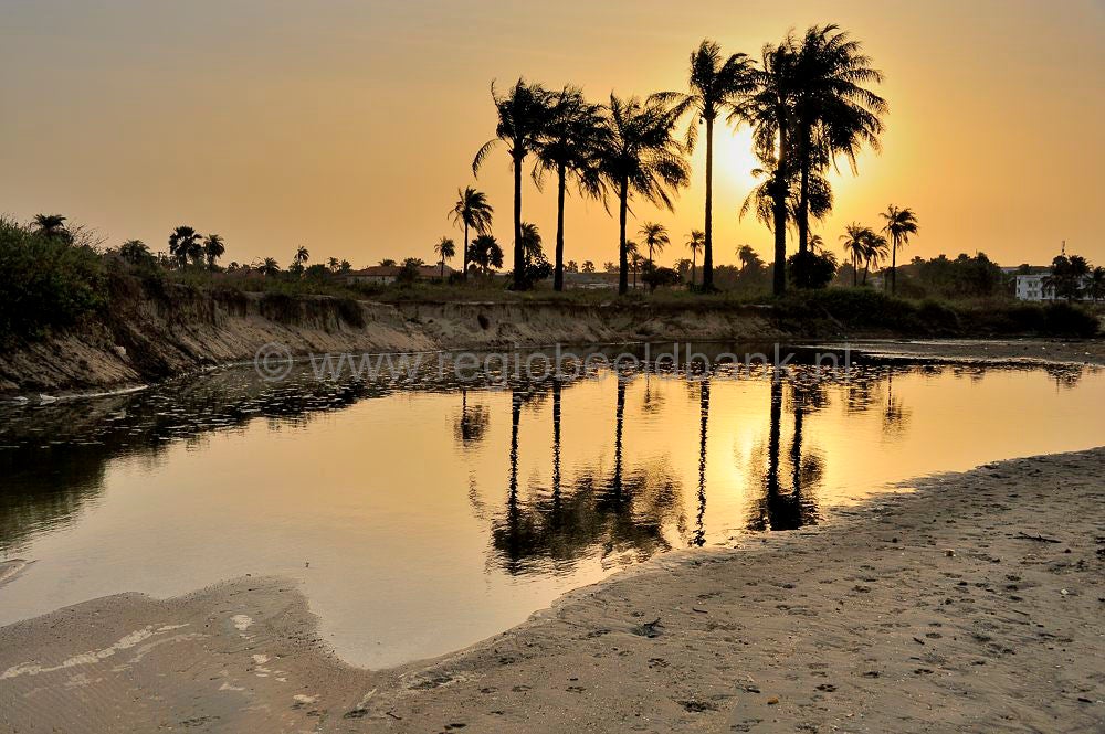 landscape_gambia_322-1.jpg