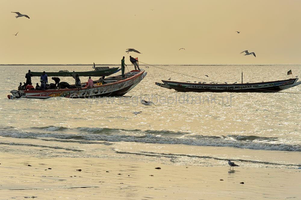 landscape_gambia_327.jpg
