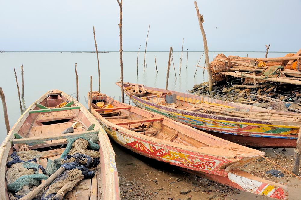 landscape_gambia_333.jpg