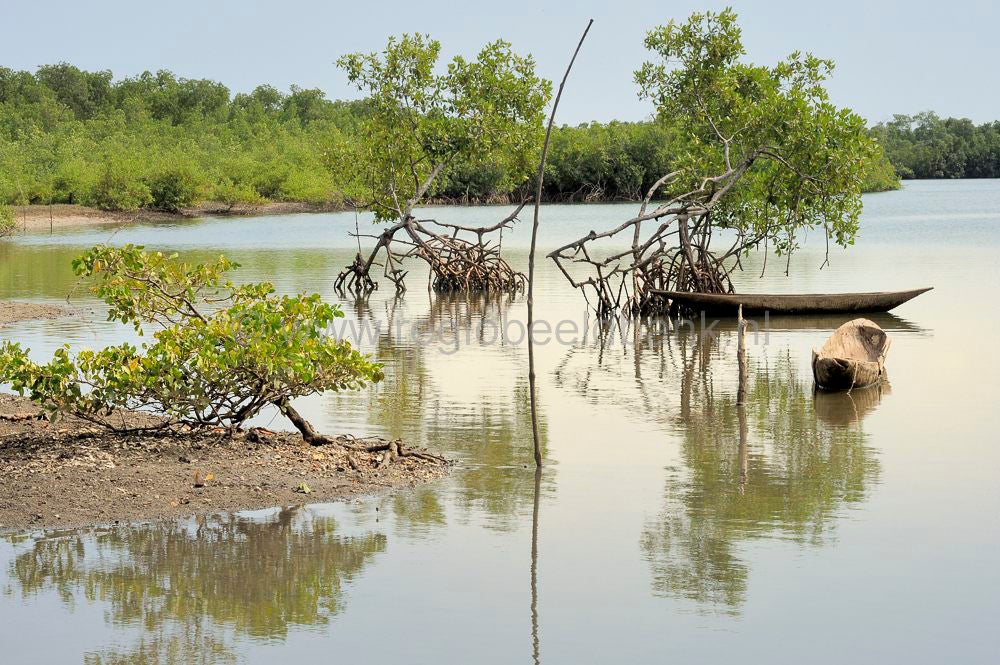 landscape_gambia_353.jpg