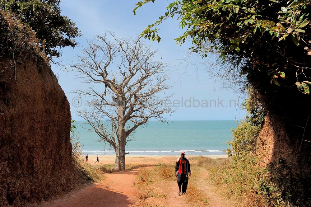 landscape_gambia_356.jpg