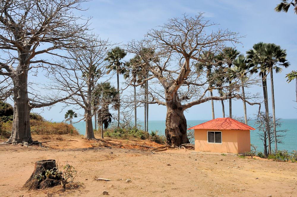 landscape_gambia_363.jpg