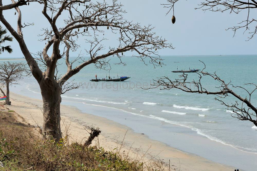 landscape_gambia_365.jpg