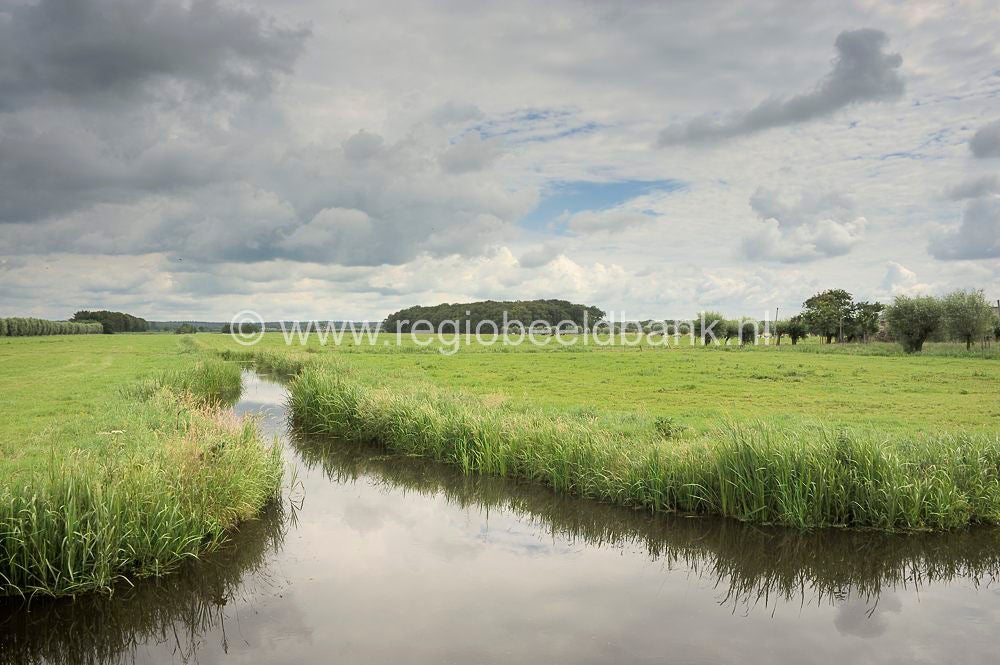 langbroek_026-1.jpg