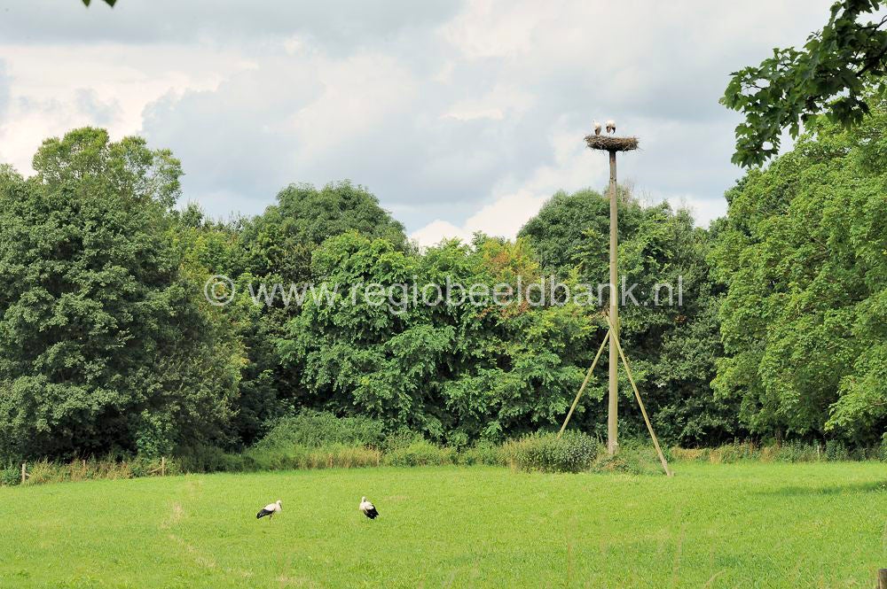 langbroek_033.jpg