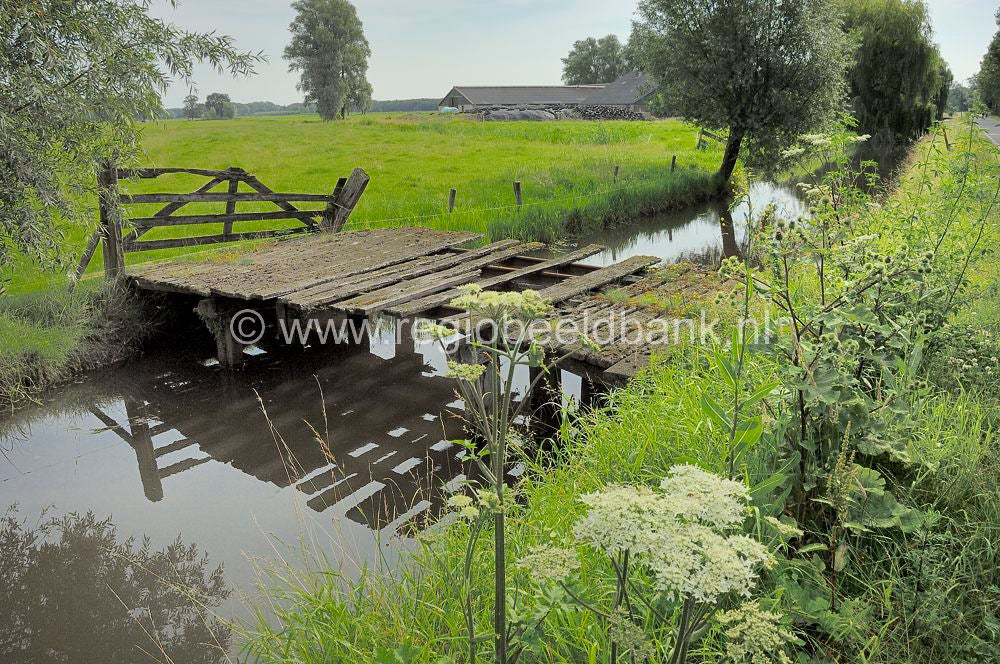langbroek_040.jpg