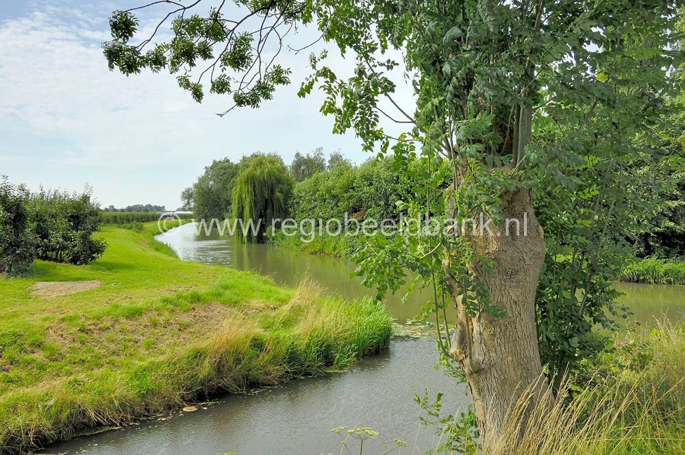langbroek_057.jpg