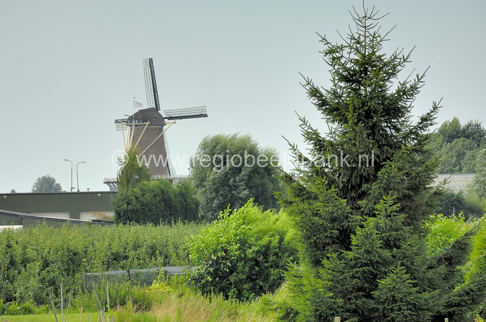 langbroek_060.jpg