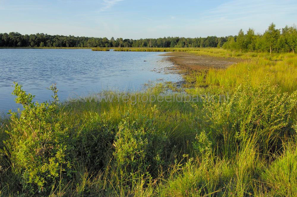 leersumseplas_004.jpg