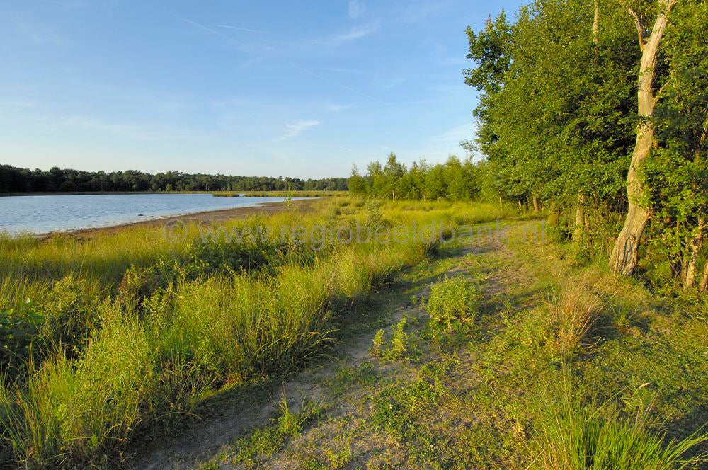 leersumseplas_006.jpg
