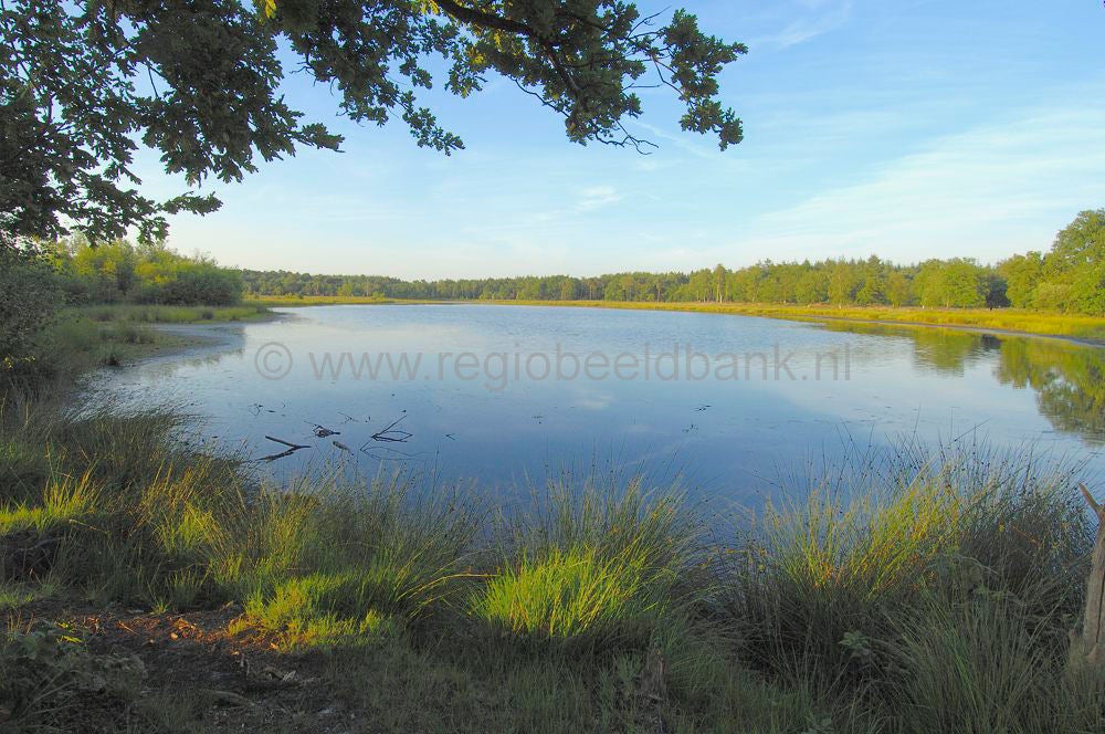 leersumseplas_007.jpg