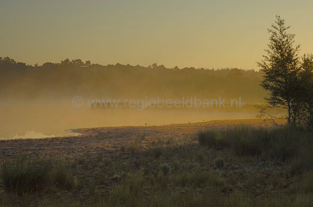 leersumseplas_015.jpg