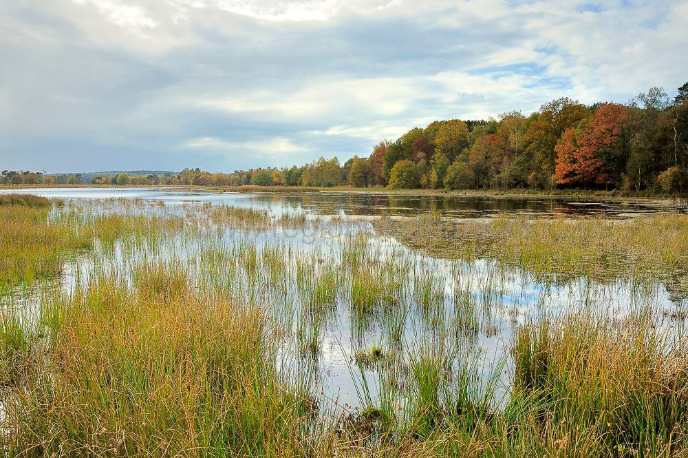 leersumseplas_038.jpg