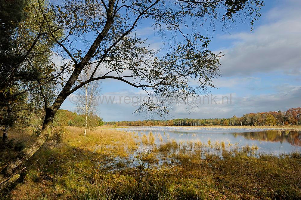 leersumseplas_041.jpg