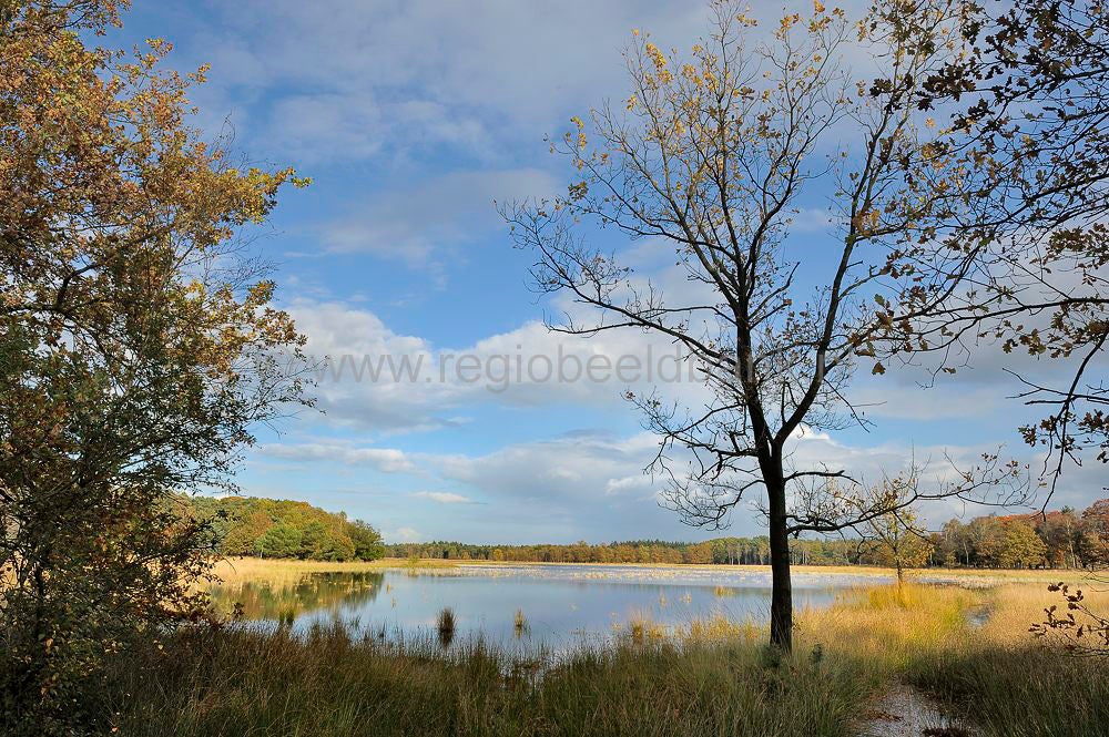 leersumseplas_043.jpg