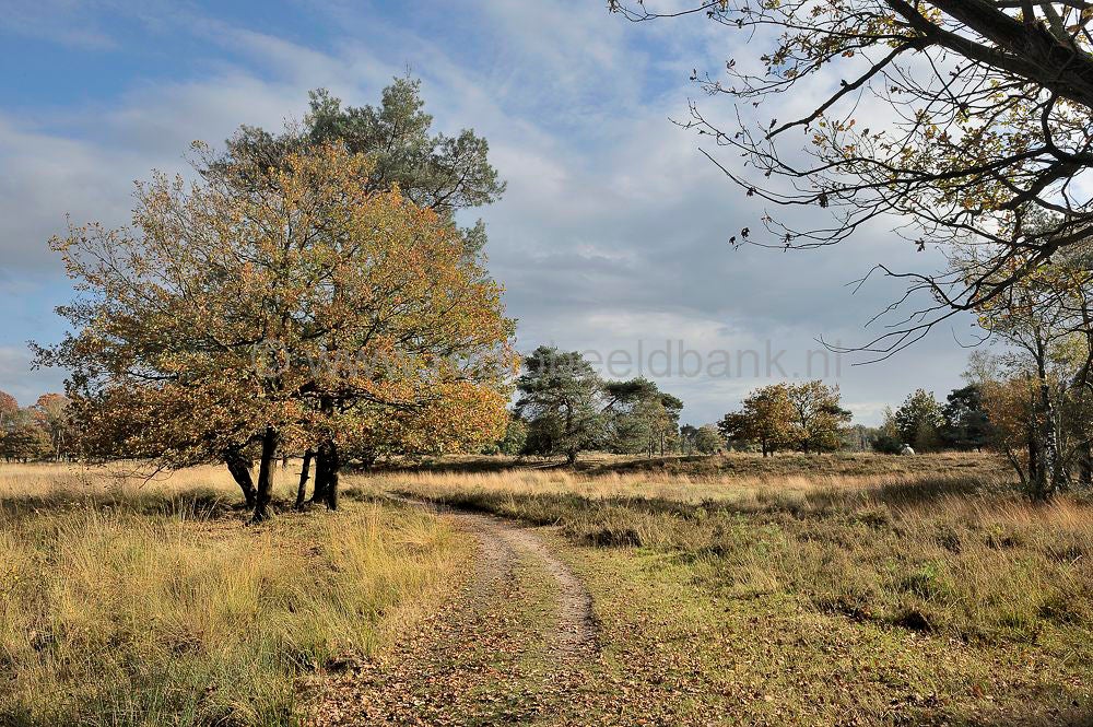 leersumseplas_045.jpg