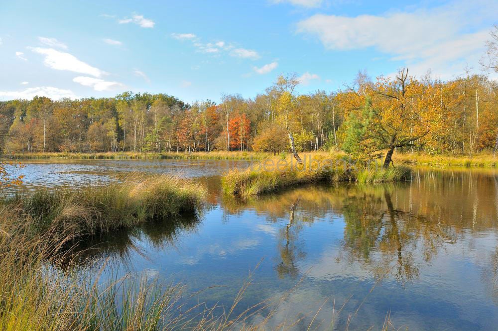 leersumseplas_049.jpg