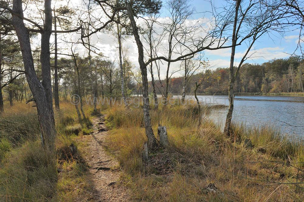 leersumseplas_051.jpg