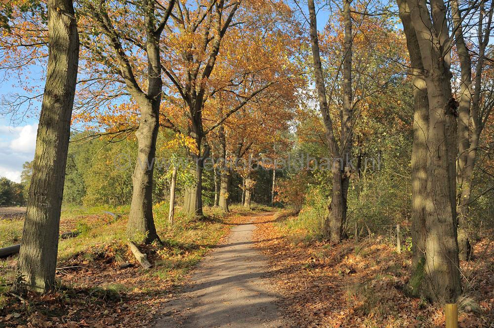 leersumseplas_053.jpg