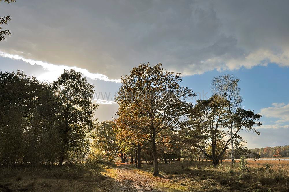 leersumseplas_061.jpg