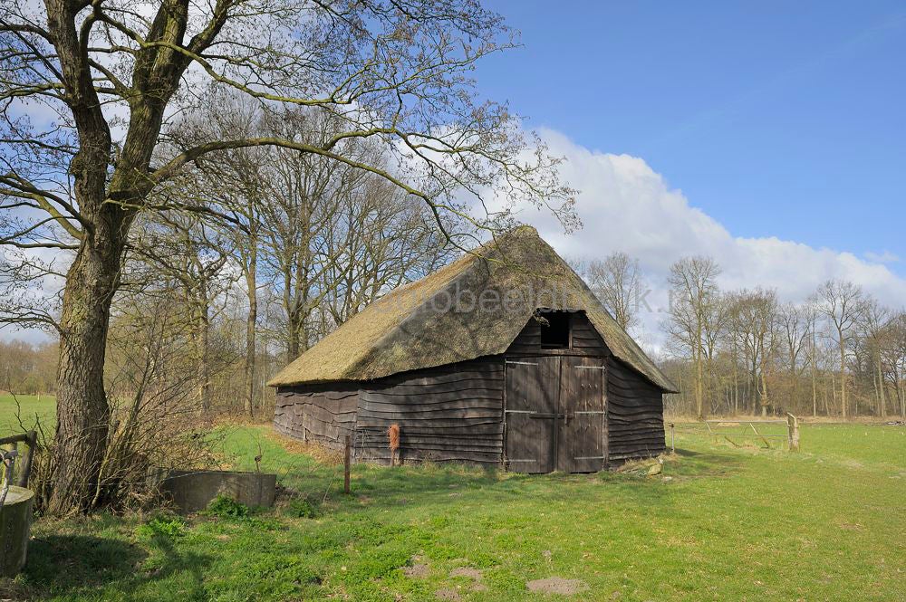 Leersumse veld .