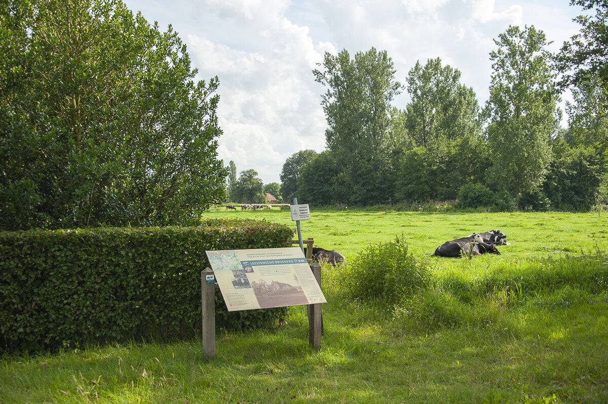 leestensche_broekpad_004.jpg