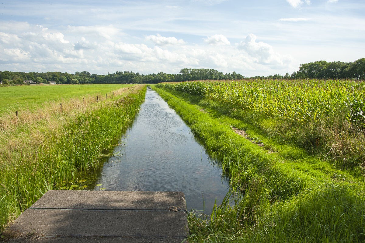 leestensche_broekpad_006.jpg
