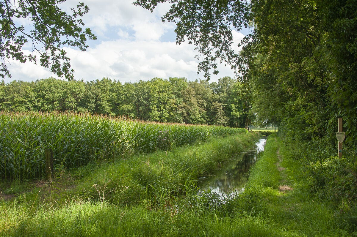 leestensche_broekpad_008.jpg