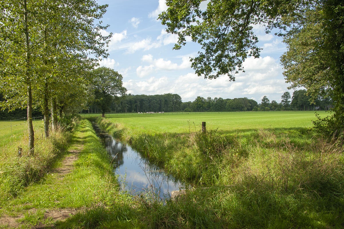 leestensche_broekpad_009.jpg