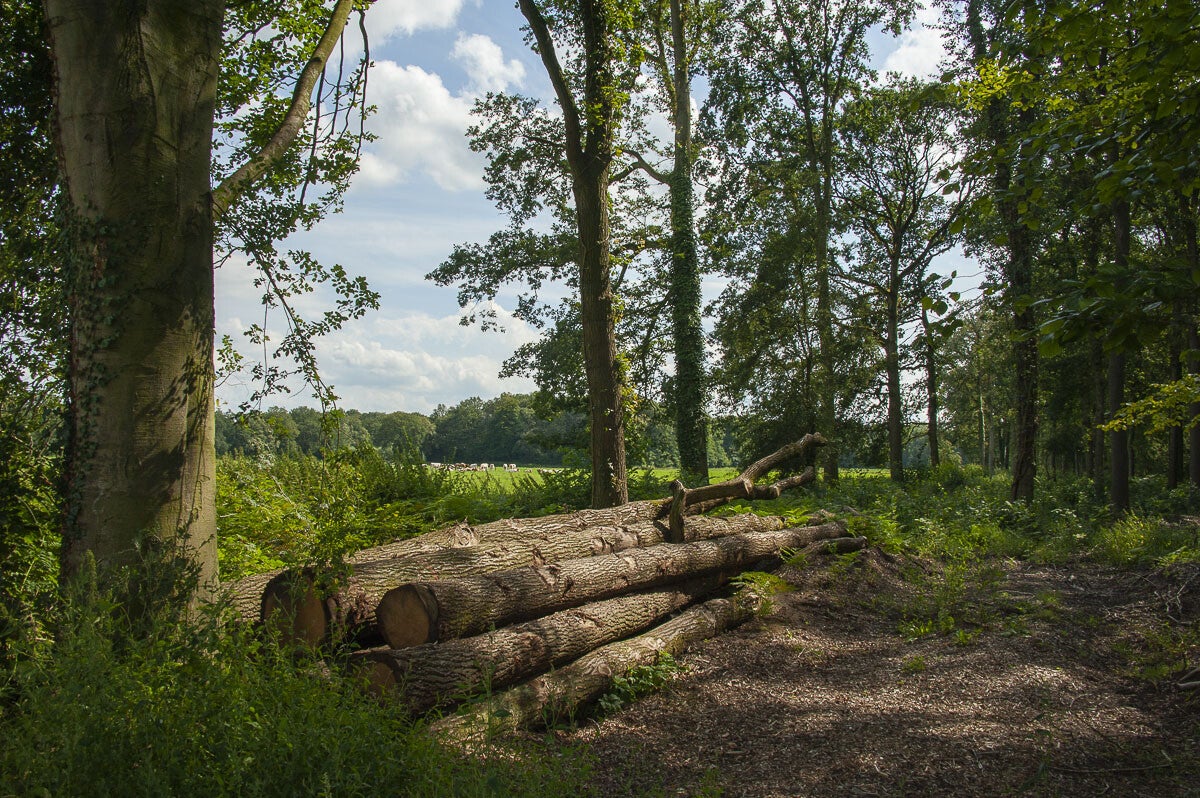 leestensche_broekpad_016.jpg