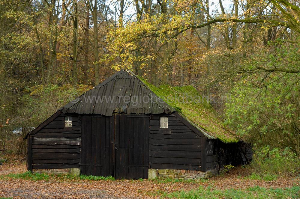 leuvenum_0122.jpg