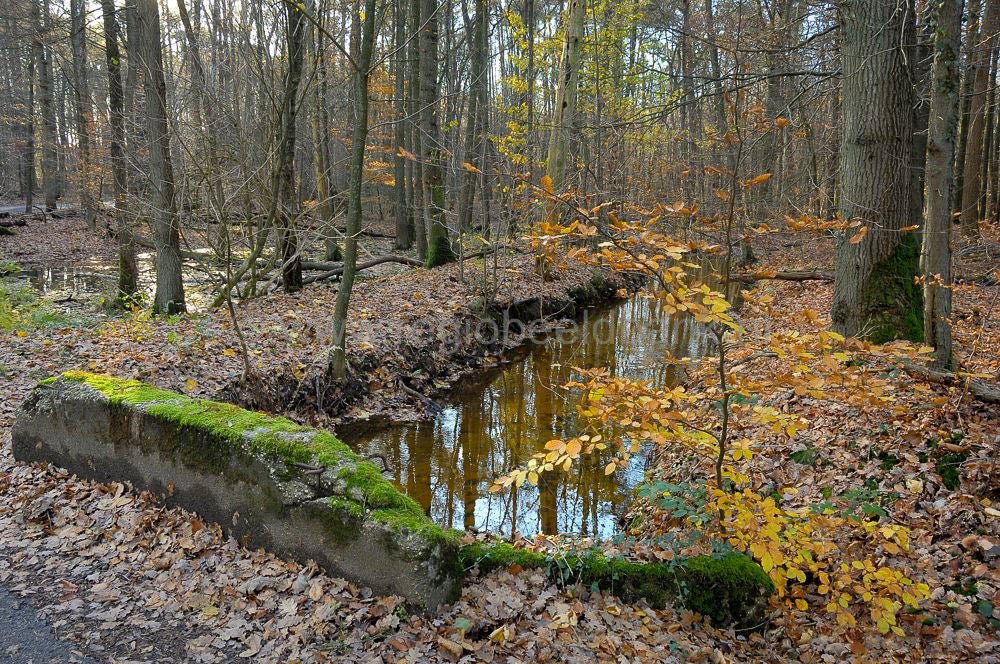leuvenum_0126.jpg